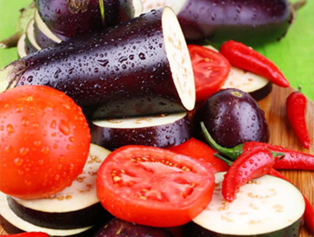 酵素农业技术：酵素菌肥在反季节茄果类蔬菜病害防治上的应用