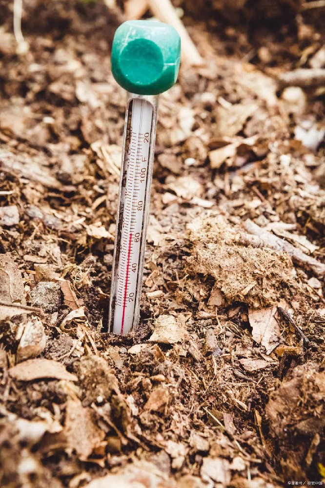 发酵堆肥过程中温度的作用及变化